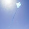 In the Breeze 3294 - Blueberry 30 Inch Diamond Kite - Solid Blue, Fun, Easy Flying Kite